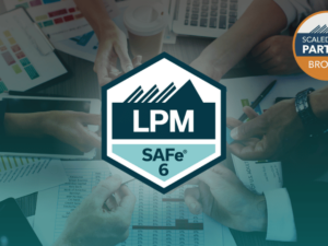 Lean Portfolio Management